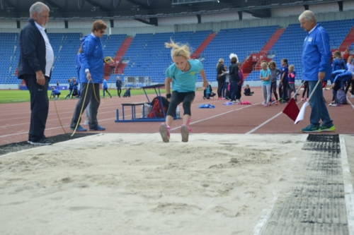 ALMP Vikovice 2020 131